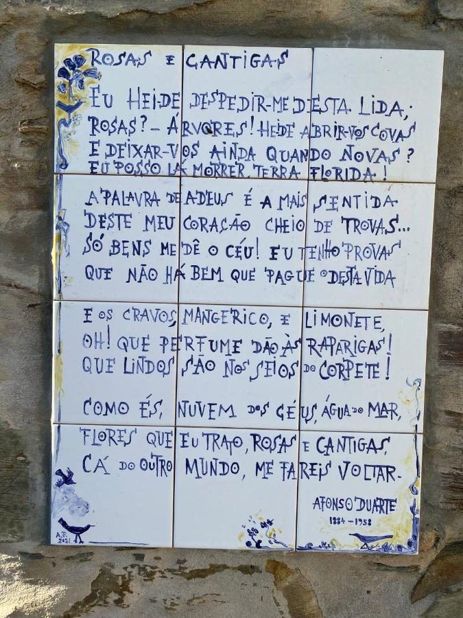 דירות Coja Quinta Do Alagao מראה חיצוני תמונה